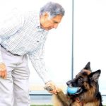 ratan tata was a dog lover and had a german shepherd named tito now he has left a 251755624 16x9 0