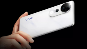 vivo